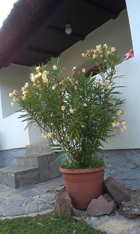 Country House Balaton Paloznak Esterno foto